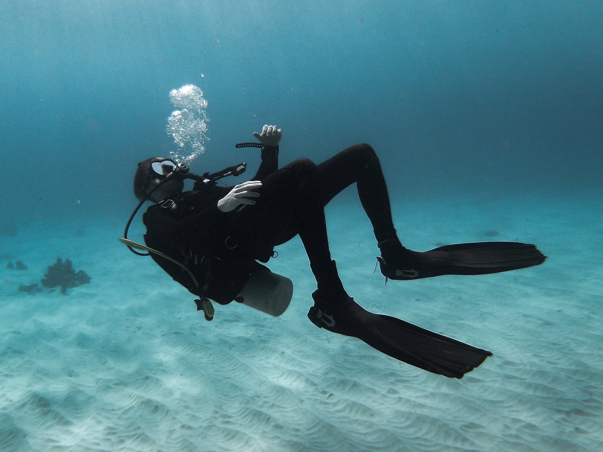 Beneath the Waves: A Journey Through the World of Diving